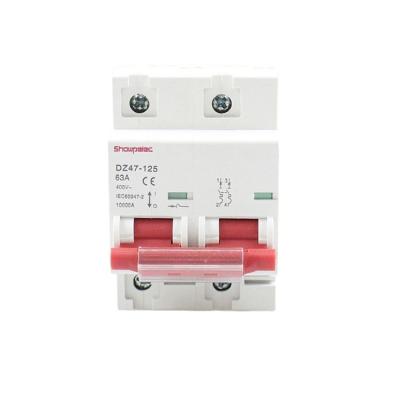 China Newest Sale 100a Circuit Breaker AC 50/60Hz Miniature Circuit Breaker DZ47-125 for sale