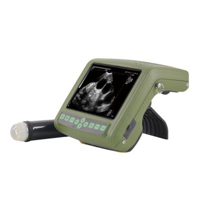 China Bright And Light Veterinary Digital Ultrasound Pet Ultrasound Veterinary Scanner for sale