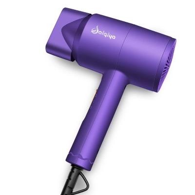 China The Other Manufacturer Direct Hand Ion Hair Blower Dryer Professional for sale