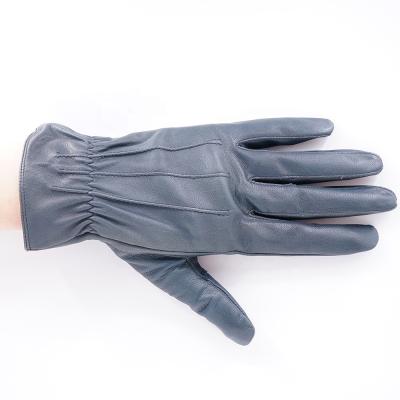 China GLOVEMAN Comfortable Full Goatskin Leather With Silk Striped Fashion Training Gloves for sale