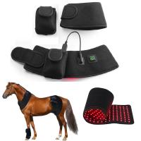 China 30pcs leiden dichtbij de Infrarode Omslag 15W van de Rood lichttherapie voor Paard Te koop