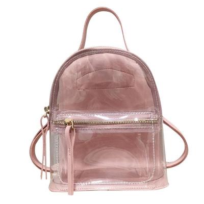 China Waterproof Fashion Mini Lovely Clear Backpack For Women Students Transparent Plastic Backpack for sale