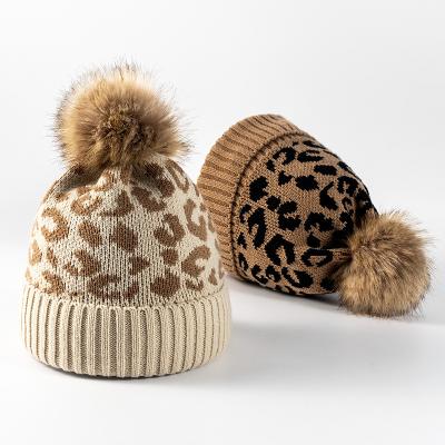 China 2021 COMMON Hot Sale Leopard Print Winter Hat Cap Women Knitting Hat Faux Fur Pompoms Beanie Hat For Lady for sale