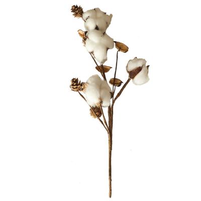 China 2021 Dried Cotton Flower Factory Wholesale Dried Flower Natural Cotton For Wedding Decoration Home Decorative Christmas for sale