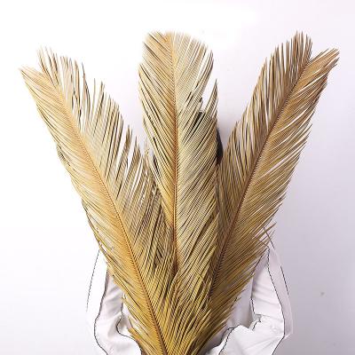 China 2021 indoor decoration hot sale artificial natural processed dry palm leaves dry fan leaf wedding flower for sale