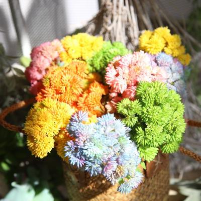 China Wedding& Home& Office Decoration Flower Plants Artificial Flower 2021 Wholesale Soft Latex Cauli Plastic Flower For Home Decor for sale