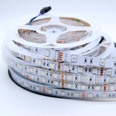 China Popular LANDSCAPE Christmas Decorative Lights DC12V DC24V RGB Multi Color Correction 5050 RGB Flexible Light Strip for sale