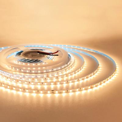 China LANDSCAPE High Brightness 60/120/180/240/300leds SMD 2216 led strip light china manufacturer flex led strips lamp for indoor decoration for sale