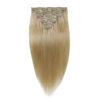 China Cheap Silky Straight Wave 613 Remy Raw Virgin Natural Cuticle Aligned Seamless Brazilian 100% Human Hair Extensions 22 24 Inch Clip In Hair Extension for sale