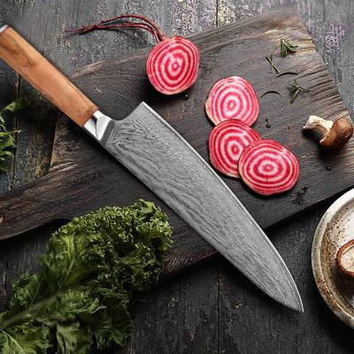 China 2021 Viable Popular Damascus Steel Professional Kitchen Chef Knife 9inch Damascus Knife Knives for sale