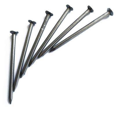 China China factory flat common nails/common iron wire nail/price of iron nails for sale