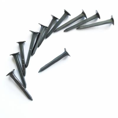 China Flat Blue Shoe Spikes/Shoe Spike Nails Product/Three Stars Shoe Spikes Nails for sale