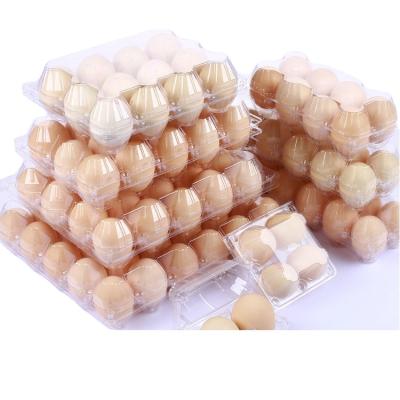 China Other Top Selling 2021 Customize 30 Egg 30 Hole Capacity Plastic Duck Plastic Egg Tray Incubator for sale