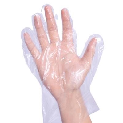 China Daily home use High Standard disposable products Disposable Polyethylene Gloves disposable glove zu verkaufen