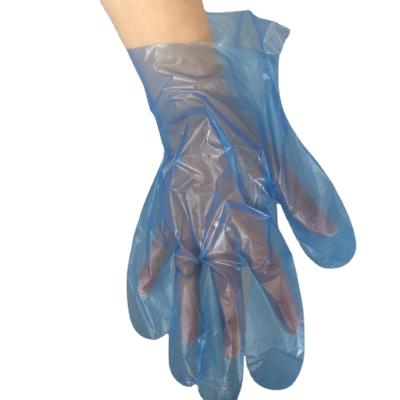 China NEW ARRIVAL disposable ce certificate vinyl gloves vinyl exam Glove en venta