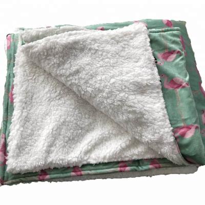 China New Product Hot Sale Fashionable Anti-pilling Flannel Fleece Customized Blanket For All Season for sale