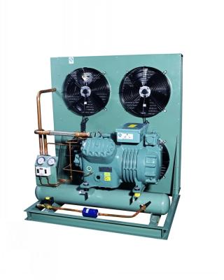 China Hotels air cooled bit-zer piston compressor condensing unit--box-shaped with v type for sale