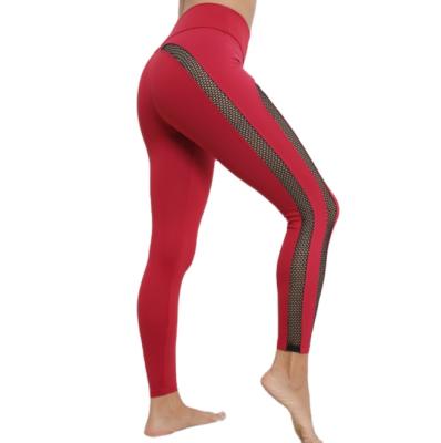 China New Breathable Tight Side Hollow Out High Waisted Hip Lift Fitness Sports Pants Nylon Women Yoga Pants for sale