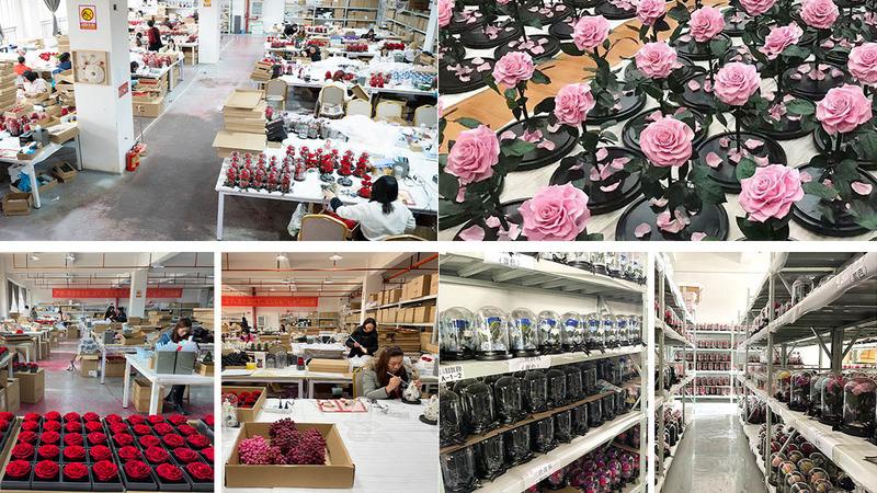 Verified China supplier - Yunnan Zante Trading Co., Ltd.