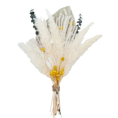 China ZanTe DIY Dried Flowers 17 inch pampas grass bouquet rabbit eucalytpus balls gypsophila palm leaf tails natural dry flowers bouquet for sale