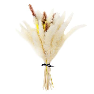 China ZanTe DIY wheat craspedia canary grass pampas dried flower bouquet 25 inch dry bouquet 36 per stems mixed large for room decoration for sale