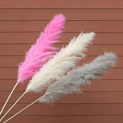 China 2022 Event Decoration Trend Wedding Decoration Hot Selling Factory New 45 Inch Dry Colorful Pampas Grass Large With 25 Inch Feather Head for sale