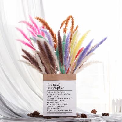 China Events Decoration 2022 Trend Wedding New Flowers Amazon Hit Vase Filler Colorful Flower 15 Pcs Dry Pampas Grass Small For Decoration for sale