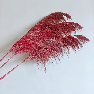 China Acorn Wedding Decorations Acorn Pampas Grass Great Sense For Pampas Wall Decorations for sale