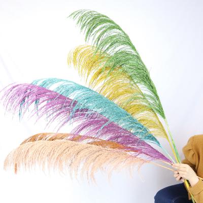 China Natural pampas grass Yunnan factory direct sale high quality color preserved tall pampas grass for wedding decoration for sale