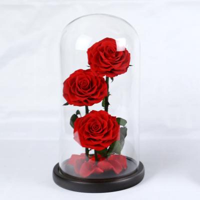 China Real Natural Rose ZanTe Bridesmaids Eternal Birthday Gift 3 Pieces Preserved Durable Rose Rose in Glass Dome for sale