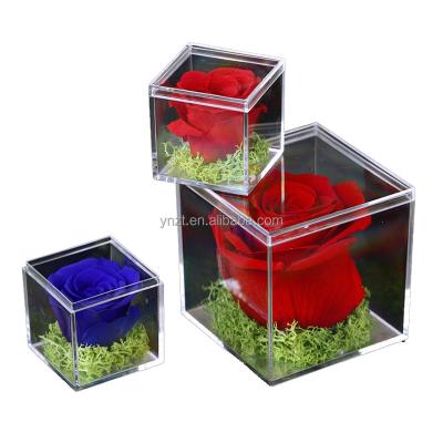 China Handmade ZanTe Preserved Eternal Preserved Rose Rose Head Valentine's Day Valentine's Day Birthday Wedding Flowers Gift in Square Acrylic Box for sale