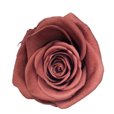 China Beautiful Colorful ZT 2022 New Fresh Hot Selling 5 - 6cm Immortal Rose Flower Head Preserved Roses For Dome Flowers DIY Gift for sale