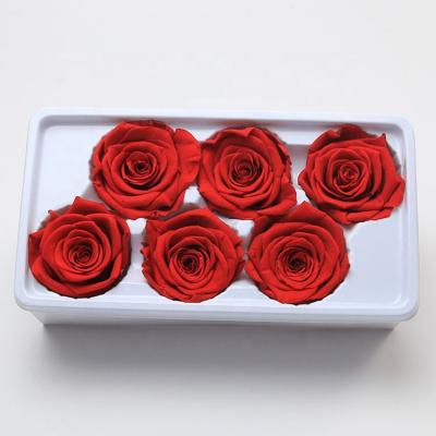 China ZanTe Natural Real Rose 2022 Ready To Ship A Grade 6 Pcs Per Box 5+ Cm Big Preserved Roses Heads For Girls Birthday Valentine Gift for sale