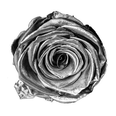 China ZanTe 2022 natural wholesale real rose flower immortal grade special colors of a real preserved roses dipped and silver eternal gold for sale