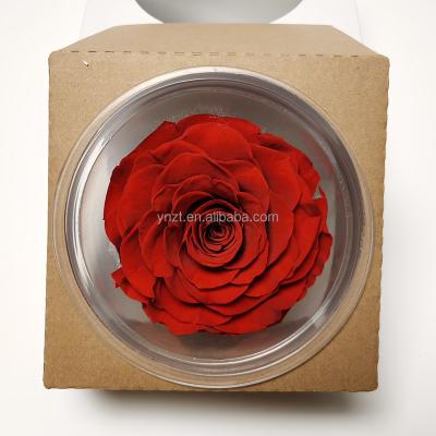 China YNZT 2022 Ecuador wholesale natural flower preserved forever roses 9 - 10 cm rose head to wedding birthday Valentine's Day gift for sale