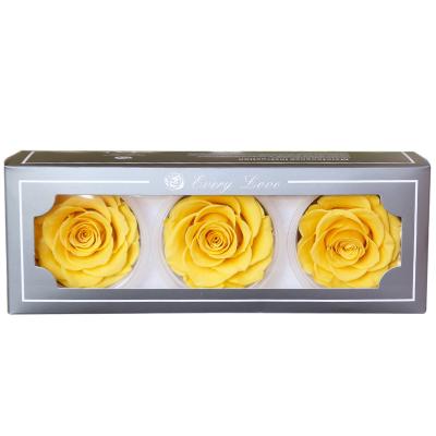 China ZanTe 2022 New Fresh Decor Flower 7 - 8 cm Preserved Rose 3 Pcs Box Grade AA Real Touch Roses Eternal Flowers 7 - 8 cm for sale