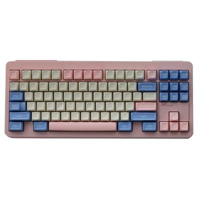 China Wear Resistance Hotsale Bubble SA Keycaps Profile 237 Keys ABS Keycap Sooth Feeling For Mechanical Keyboards 6.25U 7U Spacebar ISO Introduce Key for sale