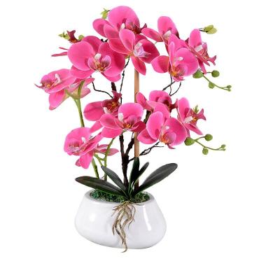 China Classic European Phalaenopsis artificial flower decoration film plant Phalaenopsis simulation flowers home plants for sale