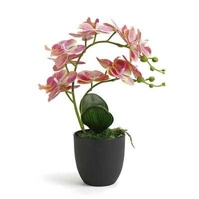 China Real classic home decoration flower simulation Phalaenopsis touch flower wedding props artificial flowers for sale