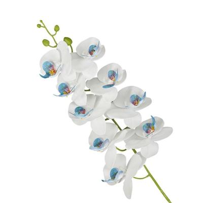 China Europe Simulation Flowers Movie 9 Phalaenopsis Real Hand Feel Real Hand Decoration Artificial Flowers Heads for sale