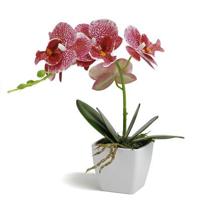 China Europe smell wholesale small potted plants Phalaenopsis artificial flowers office decoration flower bonsai potted plants for sale