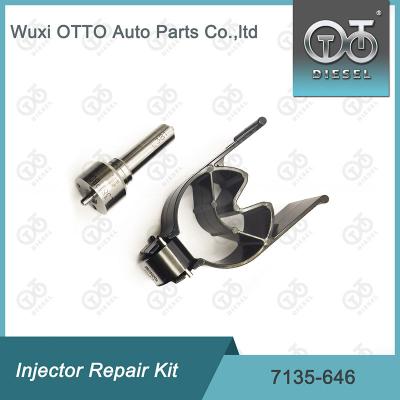 China 7135 - 646 Delphi Injector Repair Kit For Injector 28232251 for sale