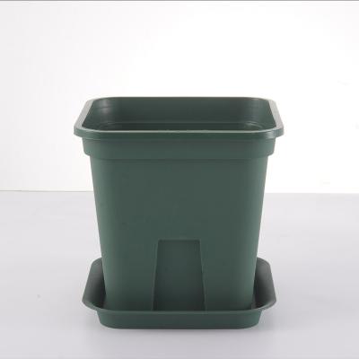 China modern wholesale colorful plastic flower pot,cheap flower pots,luckybamboo pots for sale