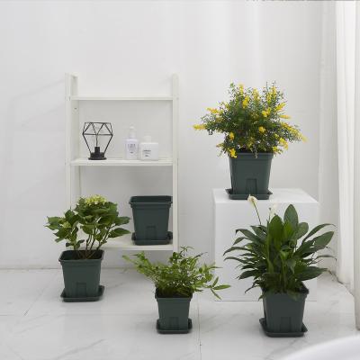 China 2020 modern popular indoor plastic pot, garden pot, showroom flower pot for sale