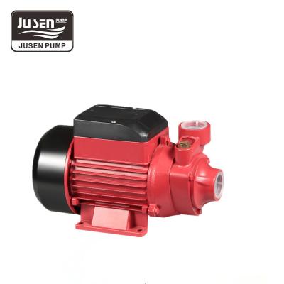 China Best Price Home Use Commercial Cast Iron Vortex Pump QB60 Single Stage Buildings Pump for sale