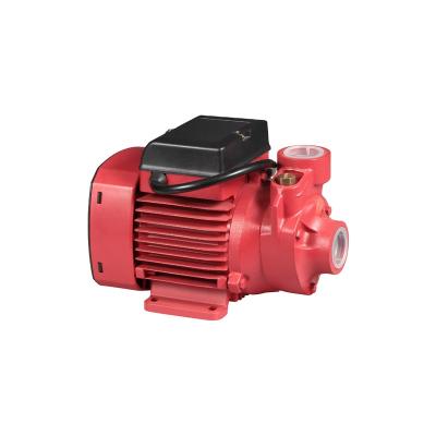 China Commercial Buildings PKM80 1 Hp Portable Small Electric Vortex Impeller Clean Water Peripheral Centrifugal Pump for sale