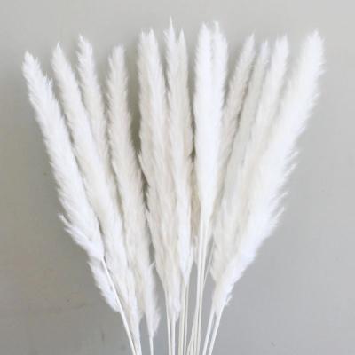 China High Quality Faux Pampas Style Faux Pampas Decoration Fashional Wedding Silk Colorful Fluffy Grass Gray Beige Artificial Dried Pampas New For Sale for sale