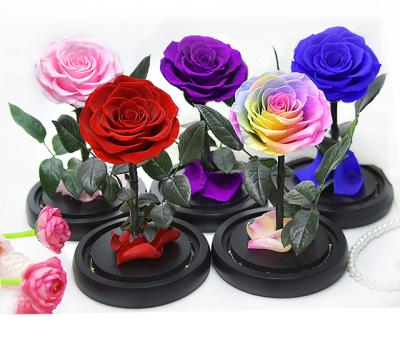 China decorative flowers & Garlands Wholesale New Design Preserved Rose Flower In Glass Dome Perfect In Gift Boxes For Valentine's Day for sale