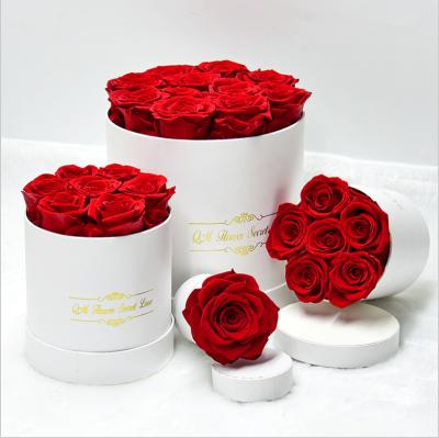 China Eco-friendly factory supply preserved roses and real natural eternal preserved flower for gift box round beauty and eternal beast flower for sale