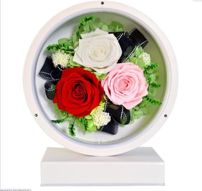 China Eternal Eco-Friendly Preserved Forever Rose Flower in Simple Paper Flower Wedding Gift Box Natural Valentine Rose Glass Dome Decoration for sale